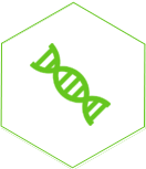 維生(shēng)素系(xì)列