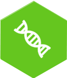 維生(shēng)素系(xì)列